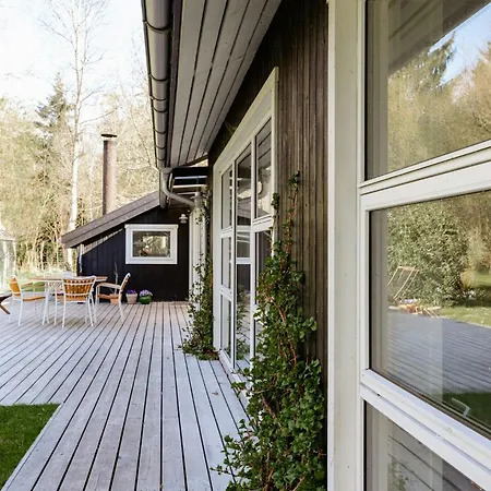 Light And Wild Woods For The Entire Family
