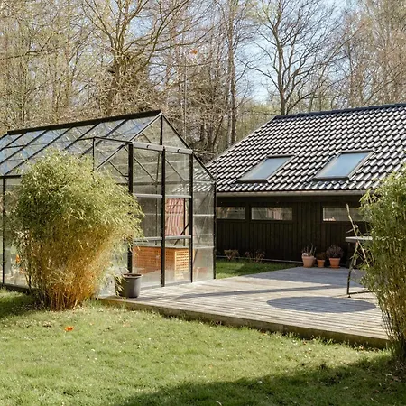 Light And Wild Woods For The Entire Family
