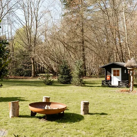 Light And Wild Woods For The Entire Family *